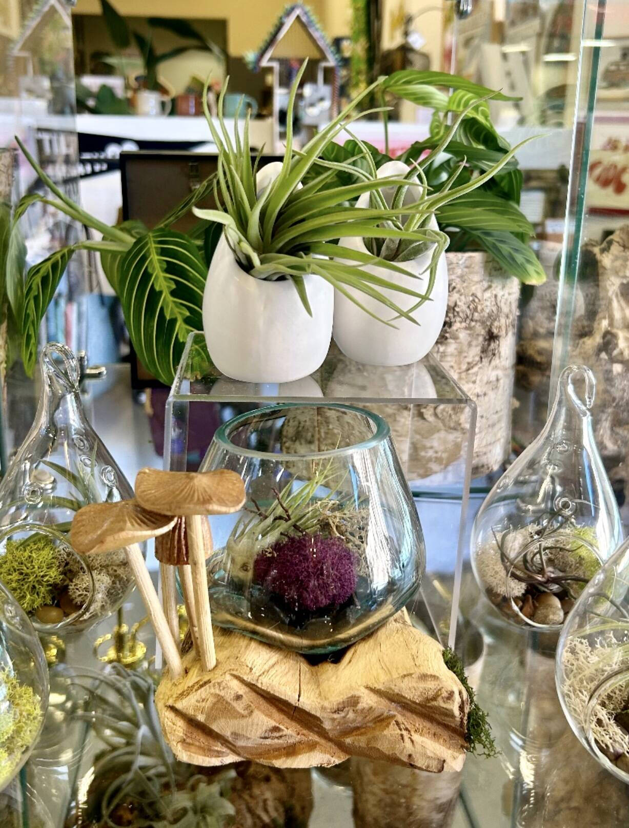 plant support sticks Handmade Macrame Plant Support Stick – Slow Sunday Select Shop main image 1