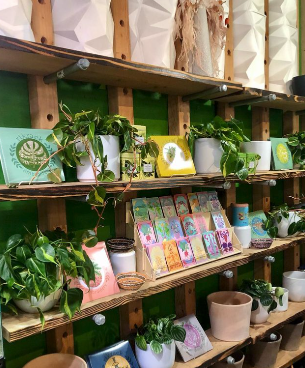 GALLERY | Artifacts & Artichokes
